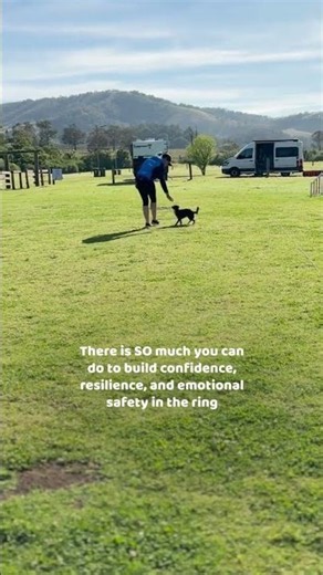 Ring stress in agility: how to build confidence and emotional safety in the ring
