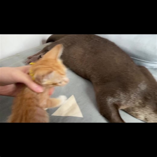 284K views · 2K reactions | Top Movies You Can't Miss | Johan Rodriguez C | Facebook