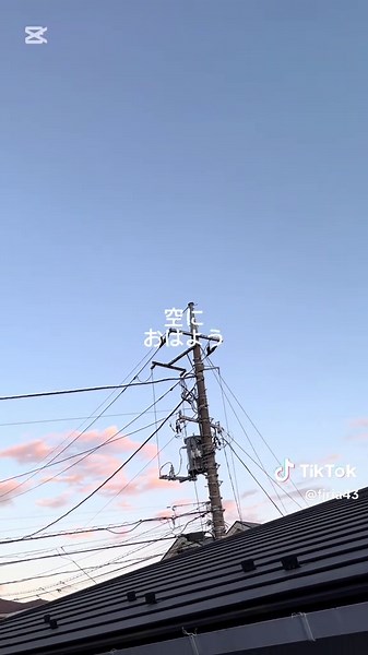 シンガーソングライター Firiaです。 今年もありがとうございました。 来年も宜しくお願い致します。 #現代 #社会人 #音楽 #歌詞動画 #mv #シンガーソングライター #癒し