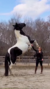 1.2M views · 28K reactions | Elegant moments between women and horses ❤️ | Watermelon Sugar | Facebook