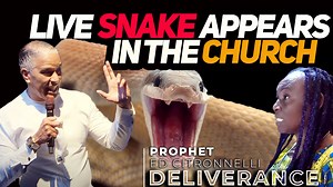 SHOCKING! LIVE SNAKE IN THE CHURCH! Slithers to Prophet - Ed Citronnelli When you come to the house of God you can see some crazy things. In Dallas, Texas, a family came to see Prophet Ed because they were being tormented by witches who wanted to initiated their daughter. When the Lord located them, a snake that attached itself to the daughter, slithered to the front of the church to Prophet Ed. It knew it was finished. The church began warfare against the coven and the witches that were torment