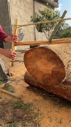 Beginner saws a big log for first time, no mistakes!