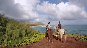 1.5K views · 32 reactions | If you're looking for year-round tropical...