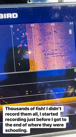 13 reactions | @highlight Icela Laird David Moreno CRAPPIE ADDICTION! FISHING BEAVER LAKE and Surrounding areas. | CrappieAddiction GuideServices | Facebook