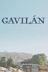 Gavilàn - Movie