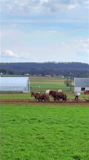 Beautiful Spring of Amish Farm, Strasburg Pennsylvania