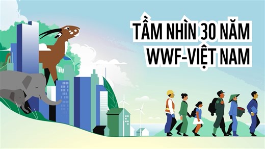 🌳 Tầm nhìn 30 năm của WWF tại Việt Nam – trong hơn 3 phút phim ngắn. Mời các bạn dành ra chút ít thời gian để cùng chúng tôi “lên thuyền”, chu du dọc theo đất nước của chúng ta, từ những miền núi non hùng vĩ tới đại dương mênh mông và xem WWF-Việt Nam đang và sẽ bảo tồn đa dạng sinh học Việt Nam như thế nào nhé. ☺️ Các bạn có muốn đồng hành cùng chúng tôi không? _____ 🌳 A 30 year vision of WWF in Viet Nam in just over three minutes. We would like to invite you to take a few moments to join us 