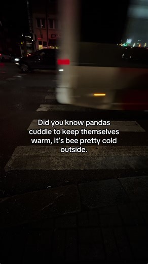 👑 (@slaysuccez)’s video of panda