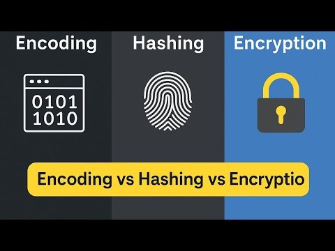 Encoding vs Hashing vs Encryption - الفرق العملي الذي يجب أن يعرفه كل مبرمج