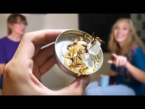 Releasing A Wasp Nest in my House - Family Reacts - Keeping Wasps as Pets