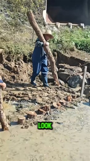 How to drive wooden piles to make embankments to prevent landslides #CivilEngineering #WorkSmarter #fblifestyle | Woodform Crafts