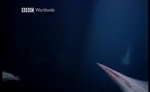 Sorry, we have encountered a problem. - Alexander Street, a ProQuest Company