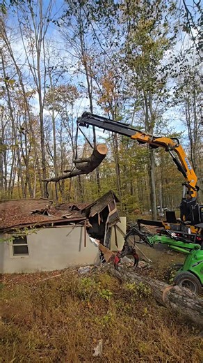 73 reactions · 14 comments | In the videos below, you’ll see our crew safely removing the tree and clearing access so the plumbers could get in and make repairs. Another safe and productive day for Blue Ox Tree Service — your trusted emergency tree service experts. | Blue Ox Tree Service | Facebook