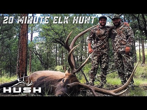 OPENING DAY ARCHERY ELK HUNT | 20 MINUTES INTO FIRST LIGHT!