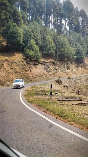 Traveling Kashmir 🌲🍁 || #shorts #travel #nature #trip #jannatkashmir #explore