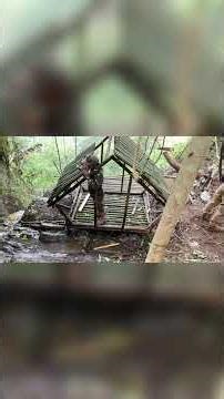 Surviving the storm: The most dangerous house on Earth #survival #thaoson #building