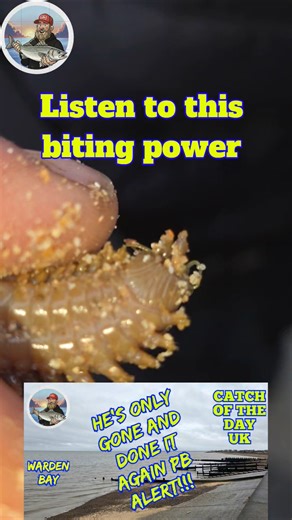 Wow, I've never heard that before!!! #fishing #seafishing #seafishinguk