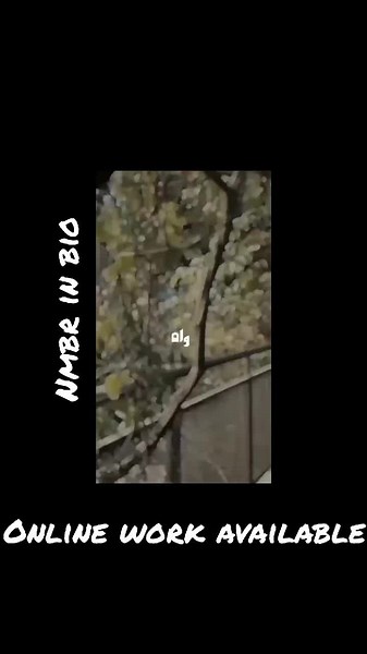 online working on TikTok