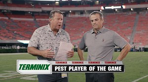 14K views · 300 reactions | Our Terminix Pest Player of the Game? It's T.J. Sanders, the co-SEC Defensive Lineman of the Week. #Gamecocks I Terminix Service, Inc. | South Carolina Gamecocks | Facebook