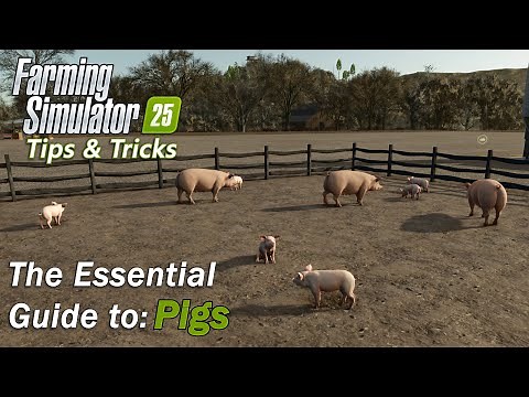 The Essential Guide to Pigs in Farming Simulator 25