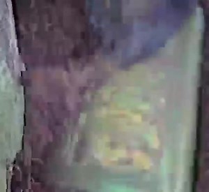 3.5K views · 130 reactions | 5 Alien Objects Ever Found on Earth!! Jungle Gino Join group watch more: Mysterious Aliens & UFO Disclosure ✔ | UFO Secret | Facebook