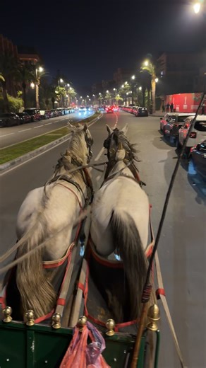 Vidéos de Zyad 🤙🏽 (@zyad_elshazly4) avec original sound - Zyad 🤙🏽