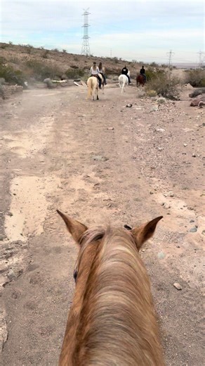 Saddle up in Las Vegas 🌵🐎 Endless trails, desert views, and sunshine almost every day of the year. Trail riding here isn’t just a hobby—it’s a lifestyle. Who’s riding with me next?✨Ready to relocate? Let’s make it happen for you. Send me a message to see what it would take to own a home here!! #realestate #sarahsellslv #horses