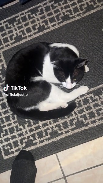 DON DA MARCO 🗣️ #justjoofficial #injowetrust