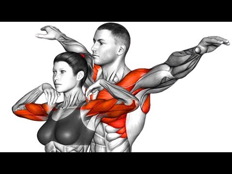 Dynamic Stretching Exercises For All Day Energy (Morning Routine)