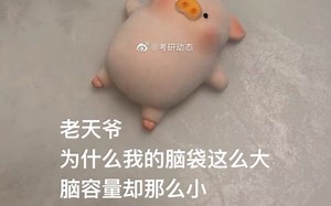 【vlog】【学习】【公式】【Excel】【#value】【iferror】如何去掉错误值#value求和成功