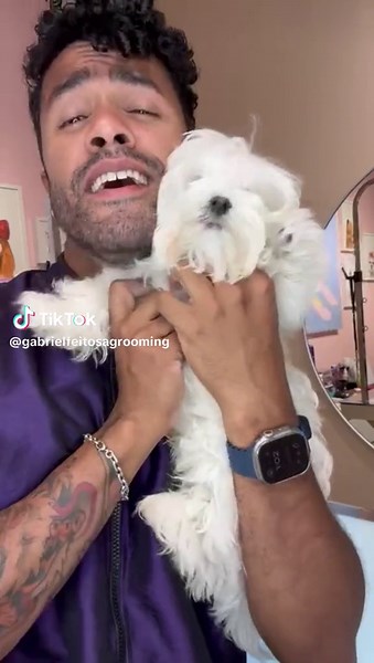 Puppy maltese first haircut! #cutedog #doggrooming #maltese | Cute Dog