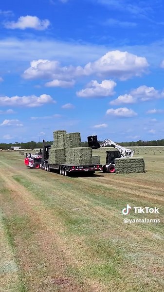 Quality Coastal Hay Farming Techniques Explained