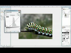 Gimp Videotutorial ITA - Lezione 1