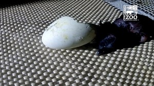 96K views · 3.3K reactions | We were in the room where it happened...