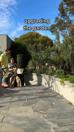 Unique Teacup Planter for Your Home Garden