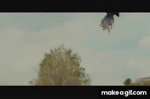 The Proposal - Scene with Kevin the Dog on Make a GIF