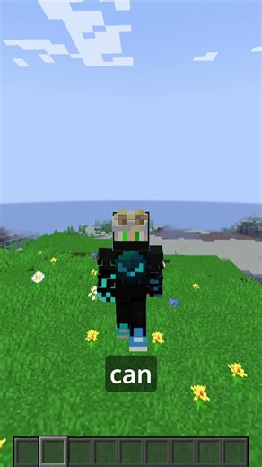 This Mod Makes Managing Pets in Minecraft EASY