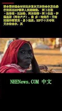 苏丹战争：联合国对 RSF 领导人就埃尔法舍尔暴行实施制裁