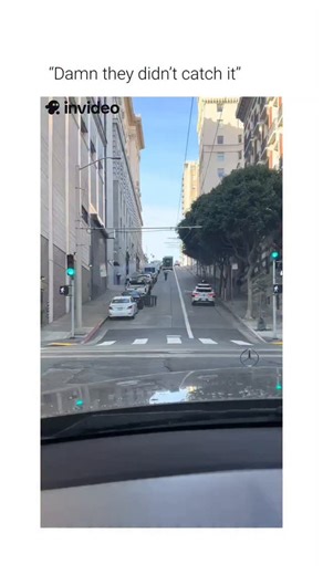 Hist Humor on Instagram: "This video captures a heavy industrial cart rolling autonomously down a steep urban incline. ​The Subject The object is a multi-stream recycling or laundry tilt truck, commonly used in commercial facilities. It is constructed from heavy-duty plastic with a reinforced metal frame and casters designed for high-load capacity and mobility on flat surfaces. ​The Mechanism The cart's movement is driven by gravity. On a significant gradient, the gravitational force component p