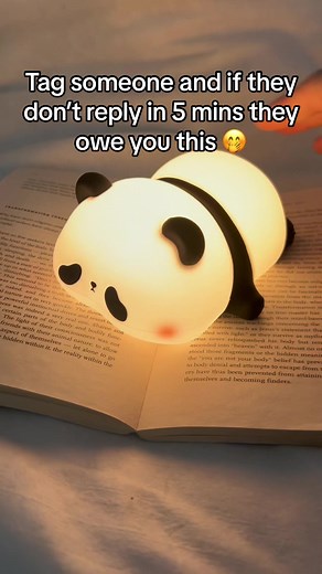 Cute Panda Lamp Book - Tag someone and wait for their reply!