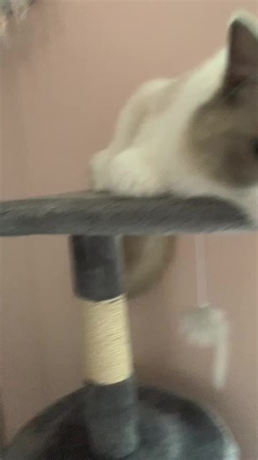 Danny Brook (@sassyivy123)’s videos with original sound - Danny Brook