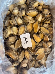 [Hot Item] Factory Price Fresh Seafood IQF Frozen Abalone with Shell