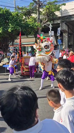 " มิตรภาพ สิงโตพื้น . . . ยืนยง สวยงาม " การไหว้ คือ การแสดงออก ซึ่งความอ่อนน้อม เป็นการแสดงความเคารพ ต่อ ผู้ใหญ่ . . . ถือเป็น สเน่ห์ เอกลักษณ์ ของ " คนไทย " เฉกเช่น " สิงโต " ก็เช่นกัน ที่เราจะเห็น คณะสิงโต ที่มีอายุ น้อยกว่า ก็จะเข้า แสดงความเคารพ ต่อ คณะที่มีอายุ มากกว่า หากแต่ รายละเอียด ปลีกย่อย . . . มีมากมาย ให้ศึกษา เช่น เวลา สิงโต เดินเข้างาน แล้วมีคณะสิงโต ที่อายุอ่อนกว่า เข้ามาไหว้ นักแสดงในอยู่ในหัวสิงโต ก็ ต้อง เป็น รุ่นราว คราวเดียวกัน และ สิงโตที่อายุมากกว่า ก็จะแค่ ยืนนิ่ง อย่าง