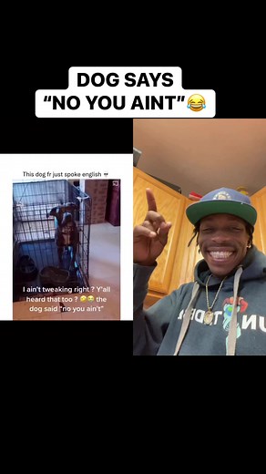 1.7K views · 72K reactions | 藍 TOO FUNNY DOG USED HIS GROWN MAN VOICE. GOOD MORNING EVERYONE I LOVE YOU ALL “SAY IT BACK” #WEAREHUMAN #UNITEDBBQ #SPREADLOVE #ENDHATE | Terrance Wren | Facebook