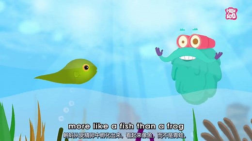 Life Cycle Of A Frog! - The Dr. Binocs Show | Best Learning Videos For Kids | Pe