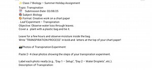 Class 7 Biology – Summer Holiday Assignment: TranspirationObj... | Filo