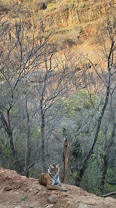 2.8K views · 86 reactions | Just spent a couple of hours with the one...