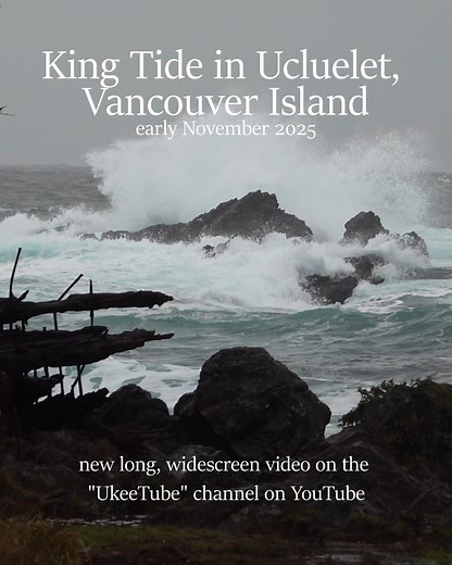 23K views · 768 reactions | There's a new long, widescreen...