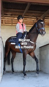 The art of riding babies… check it out with one of our super trackwork riders Phoebe on ‘Ada’ 🎤🤍 | Champagne Racing Stables