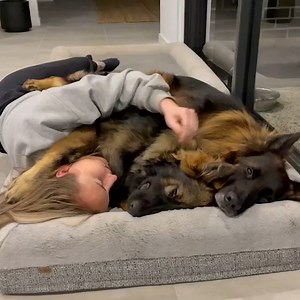 7.4M views · 10K reactions | 10 Zen clips to get you to a state of "No Worries!" ‍♂️ | The Pet Collective | Facebook